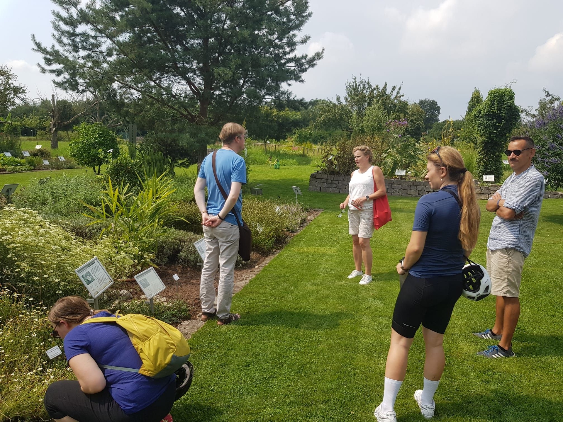 Alternative Text missing