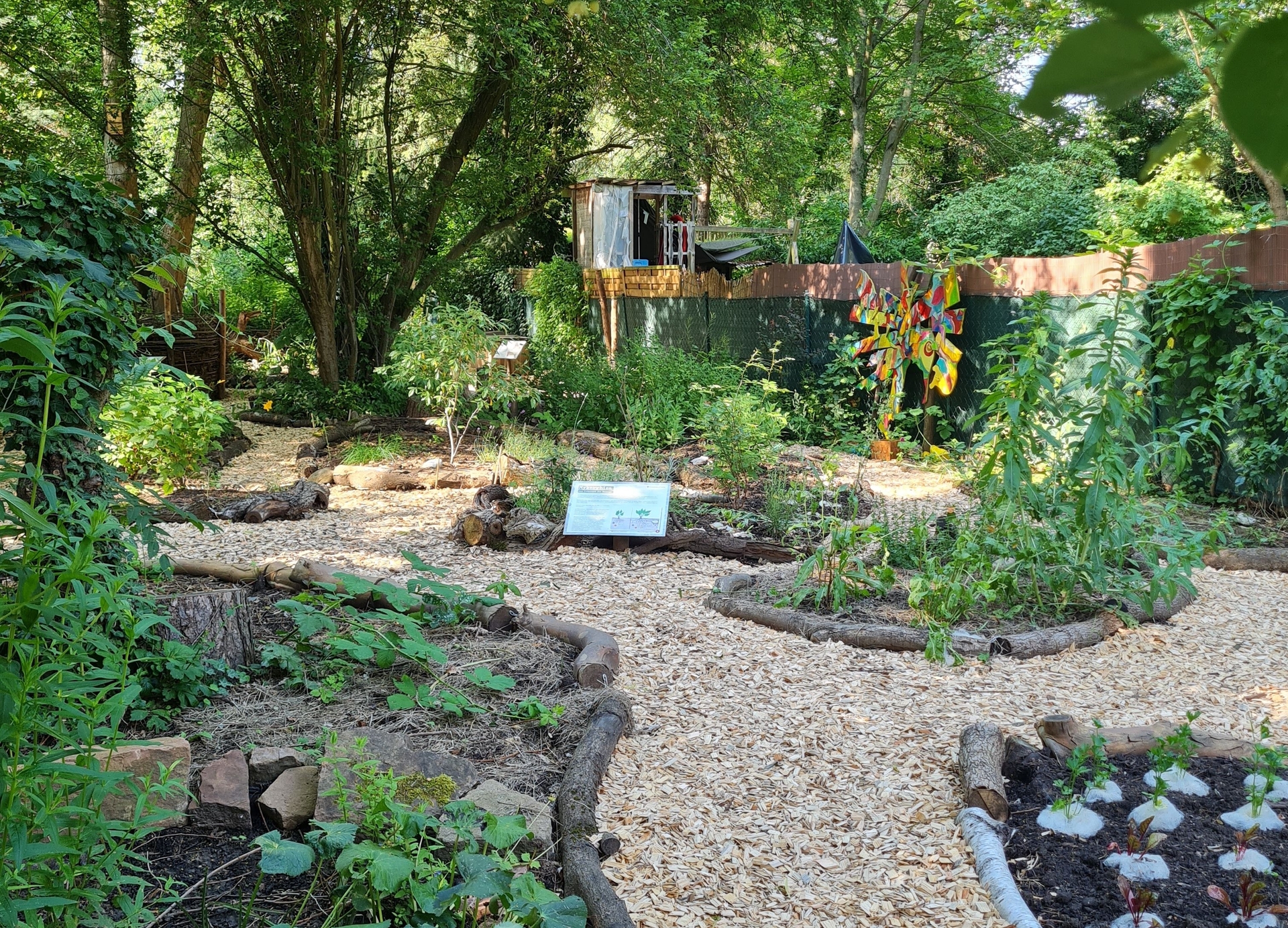 Alternative Text missing